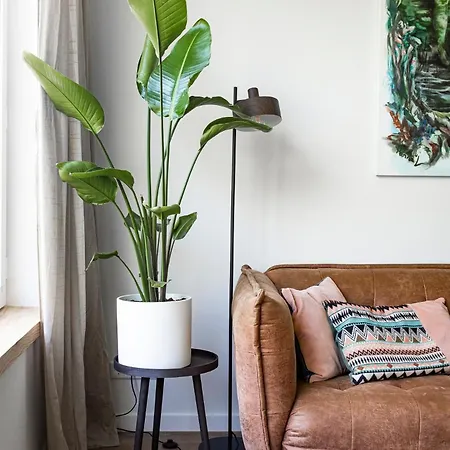 Stairway To Heaven Apartment